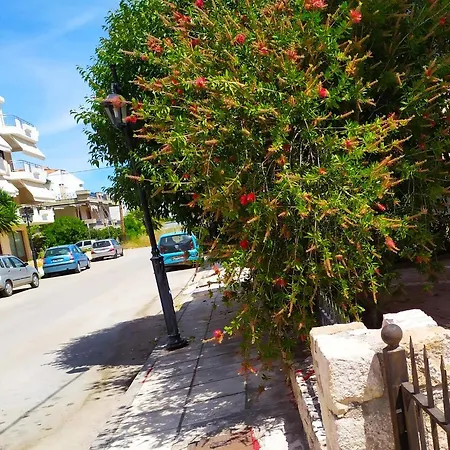 Nafplio City Apartments